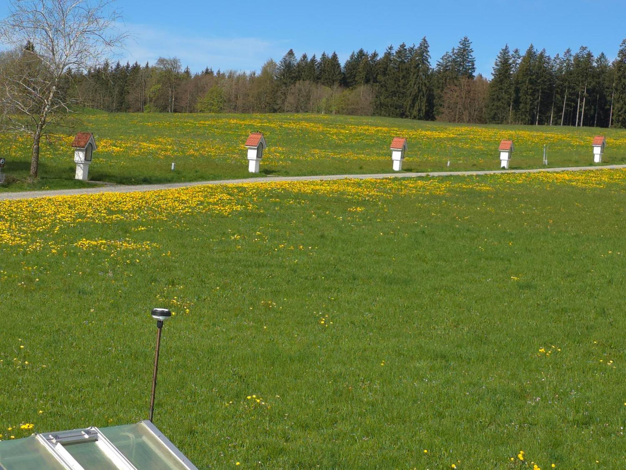 Leutkirch im Allgäu Alpenblick 아파트 객실 사진